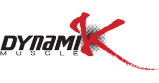 Dynamik k